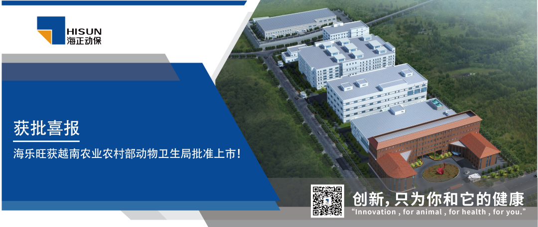 公益运动 | 国际导盲犬日，，，，hjc888黄金城动保联合中国导盲犬大连培训基地，，，，一起守护心中的那束光！_hjc888黄金城动保