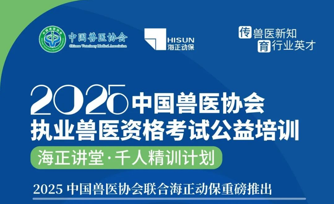 公益运动 | 国际导盲犬日，，，，hjc888黄金城动保联合中国导盲犬大连培训基地，，，，一起守护心中的那束光！_hjc888黄金城动保